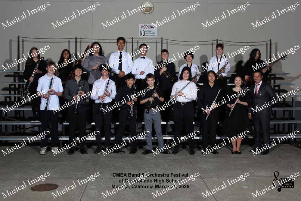 Musical Images